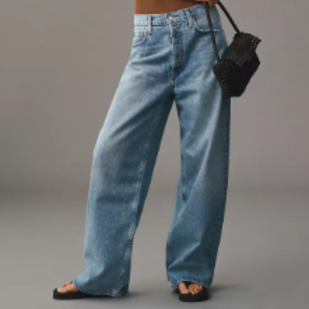 Low Slung Baggy AGOLDE
